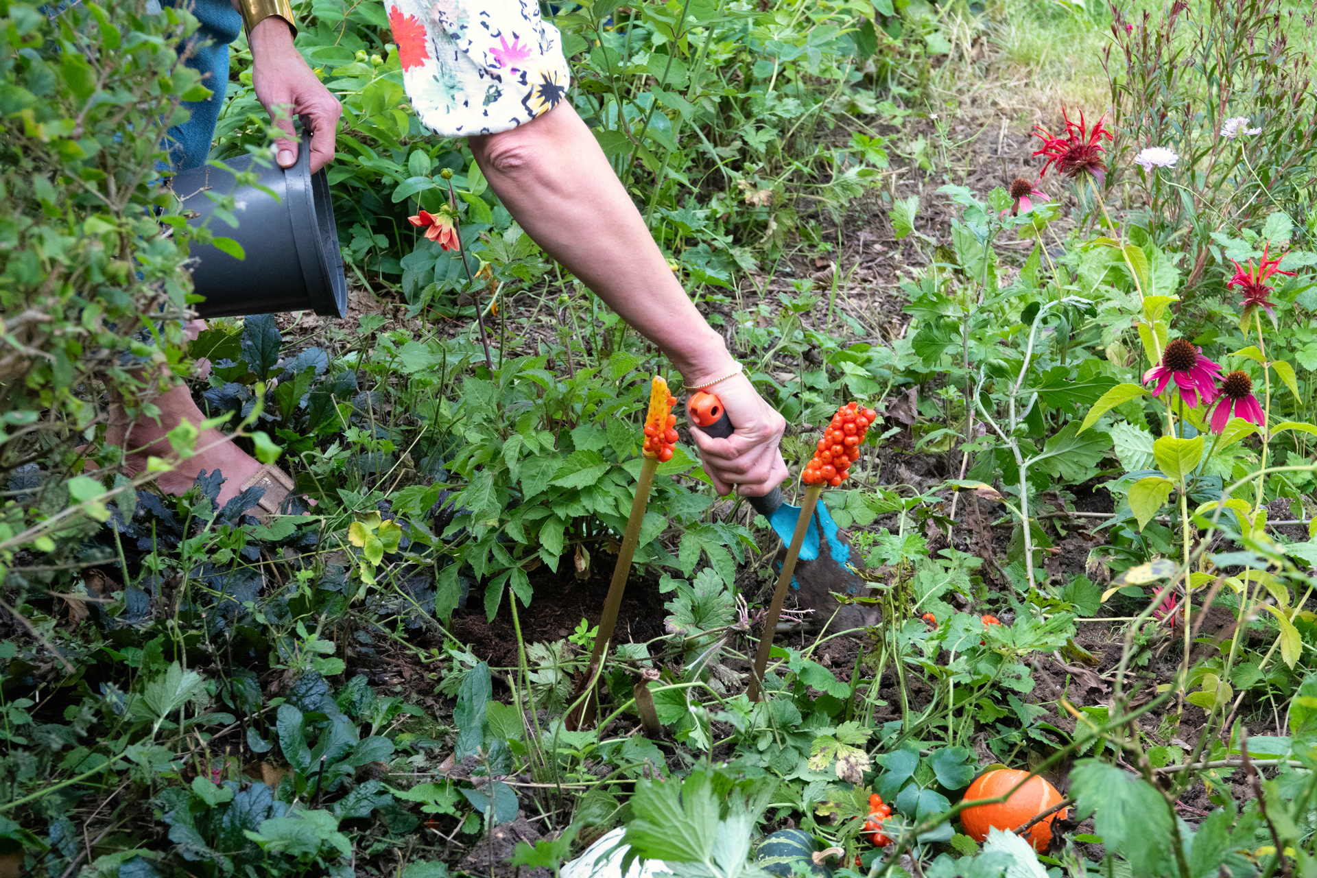 "Vrouw onderhoudt de tuin"