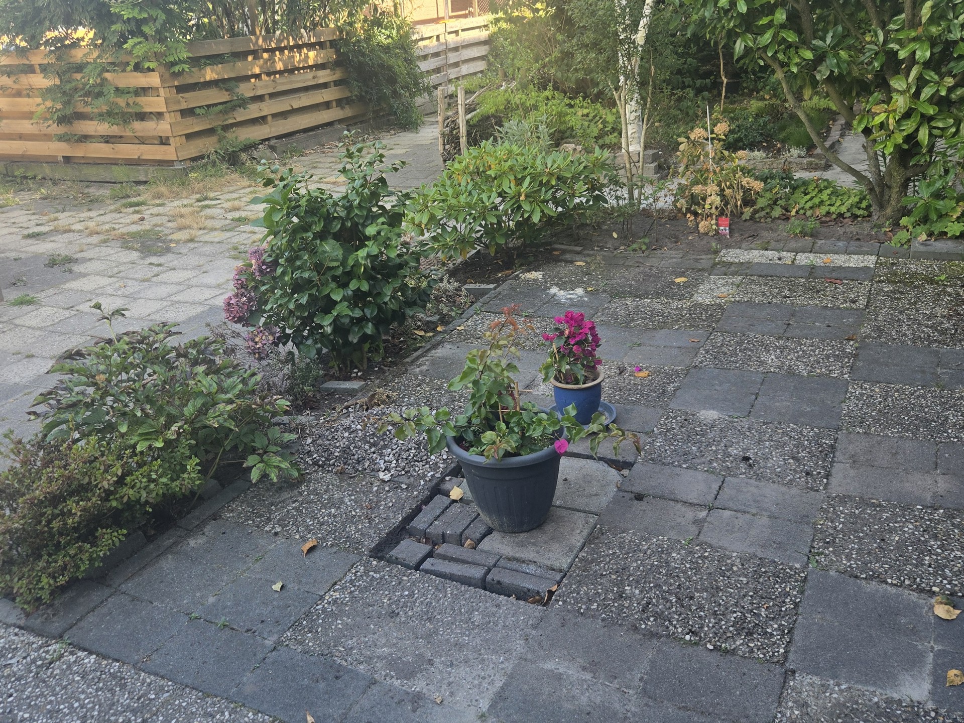 Voortuin voor de vergroening